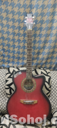 acoustic Guitar